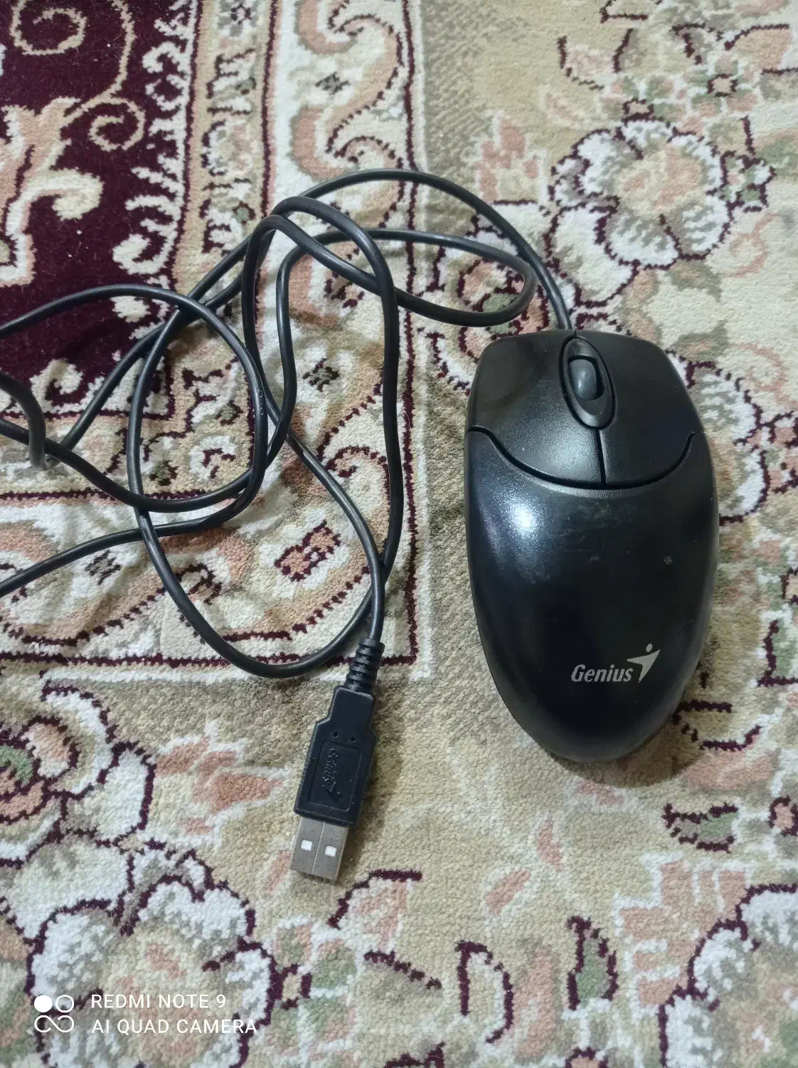 ماوس Genius|قطعات و لوازم جانبی رایانه|شیراز, سعدیه شمالی|دیوار