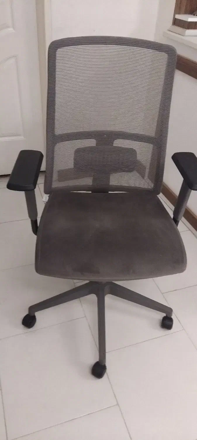 صندلی مارک داتیس|دفتر کار|ملایر, |دیوار