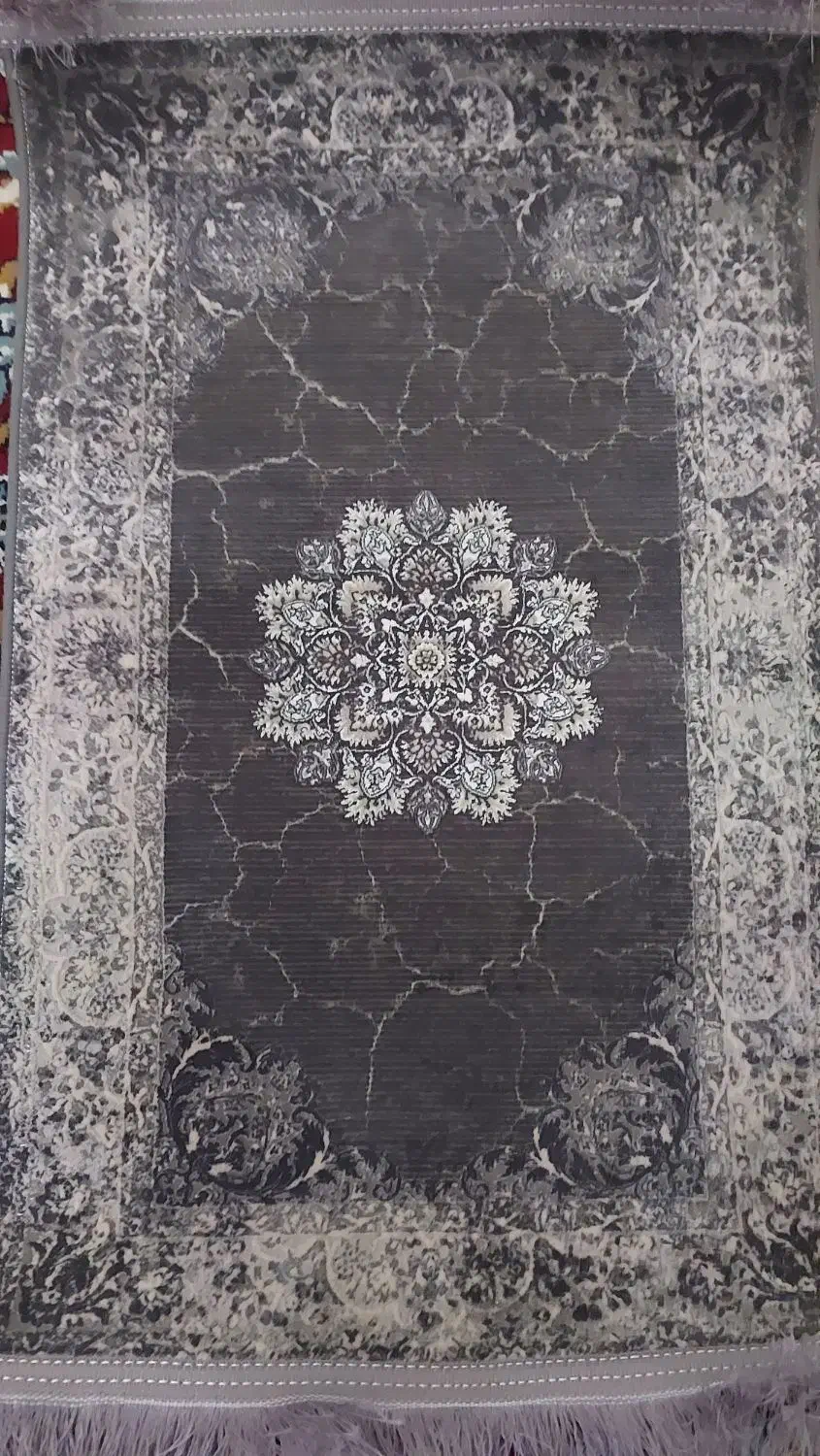 ۱۵۰۰ شانه ضخیم|فرش|قم, باغ شریفی|دیوار