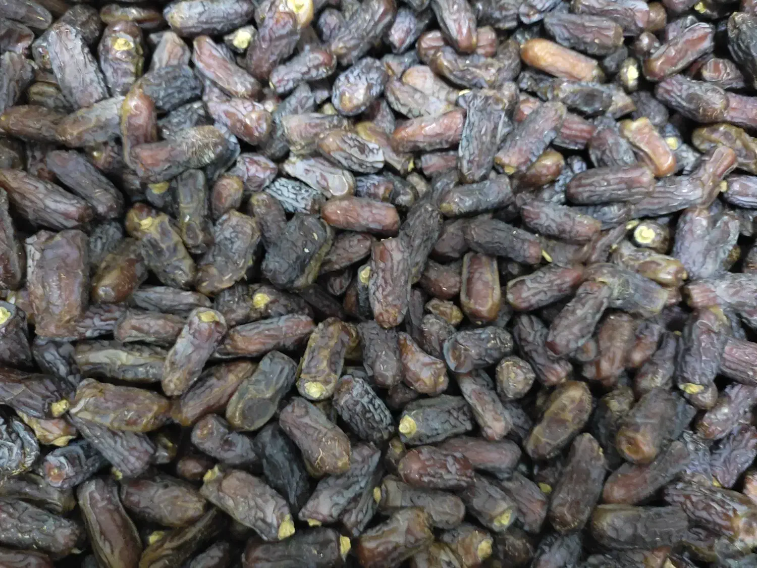 پیارم|حراج|جم, |دیوار