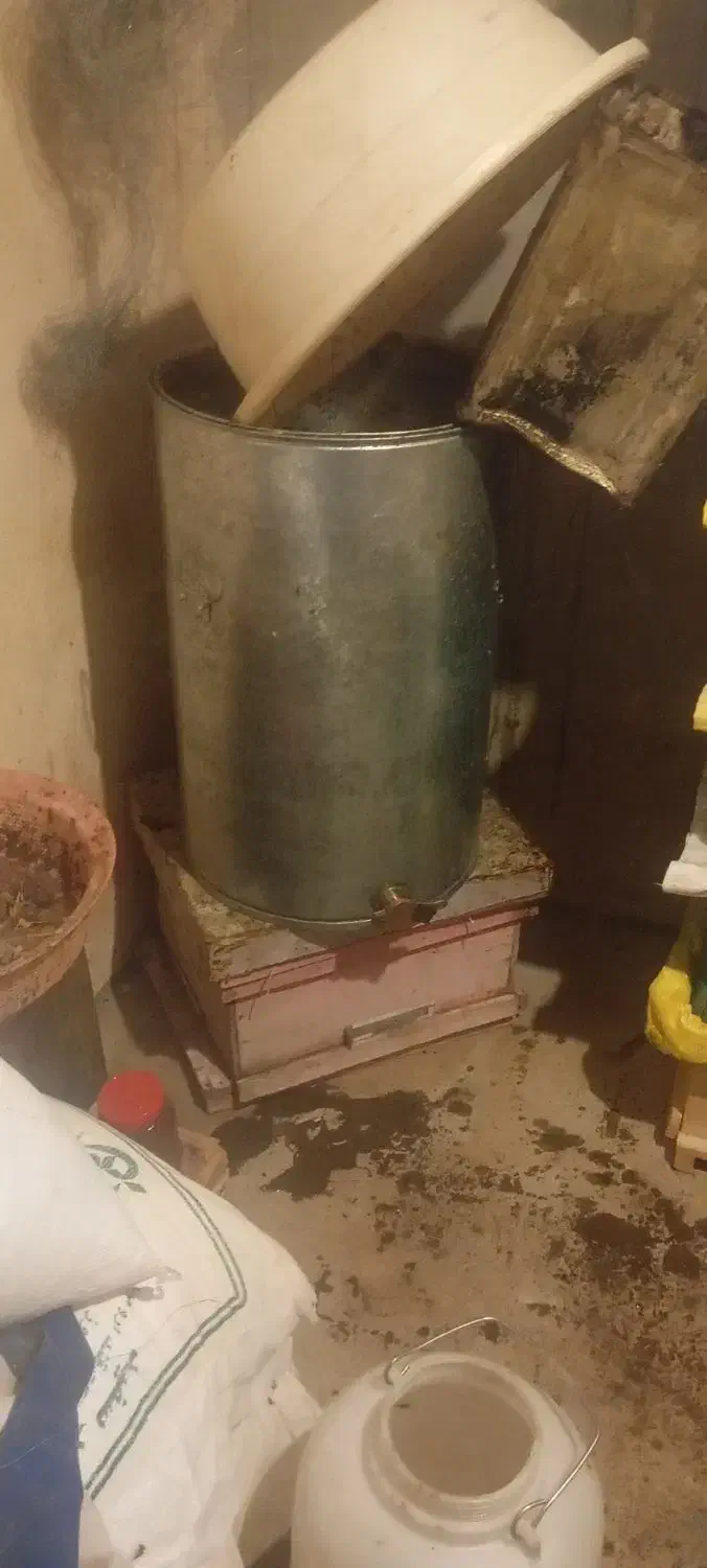 زنبور داری فوری|فروشگاه و مغازه|ماکو, |دیوار