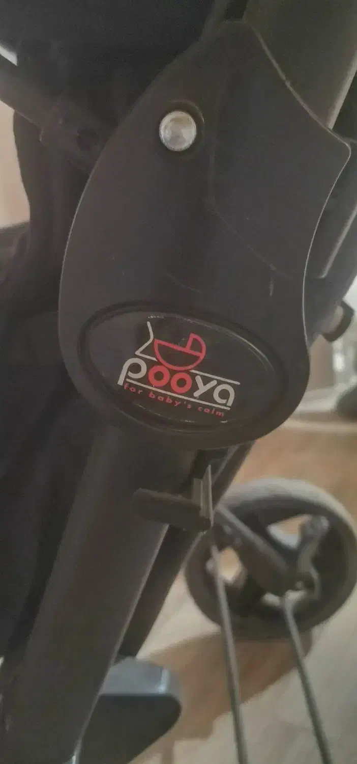 کالسکه|کالسکه و لوازم جانبی|مراغه, |دیوار