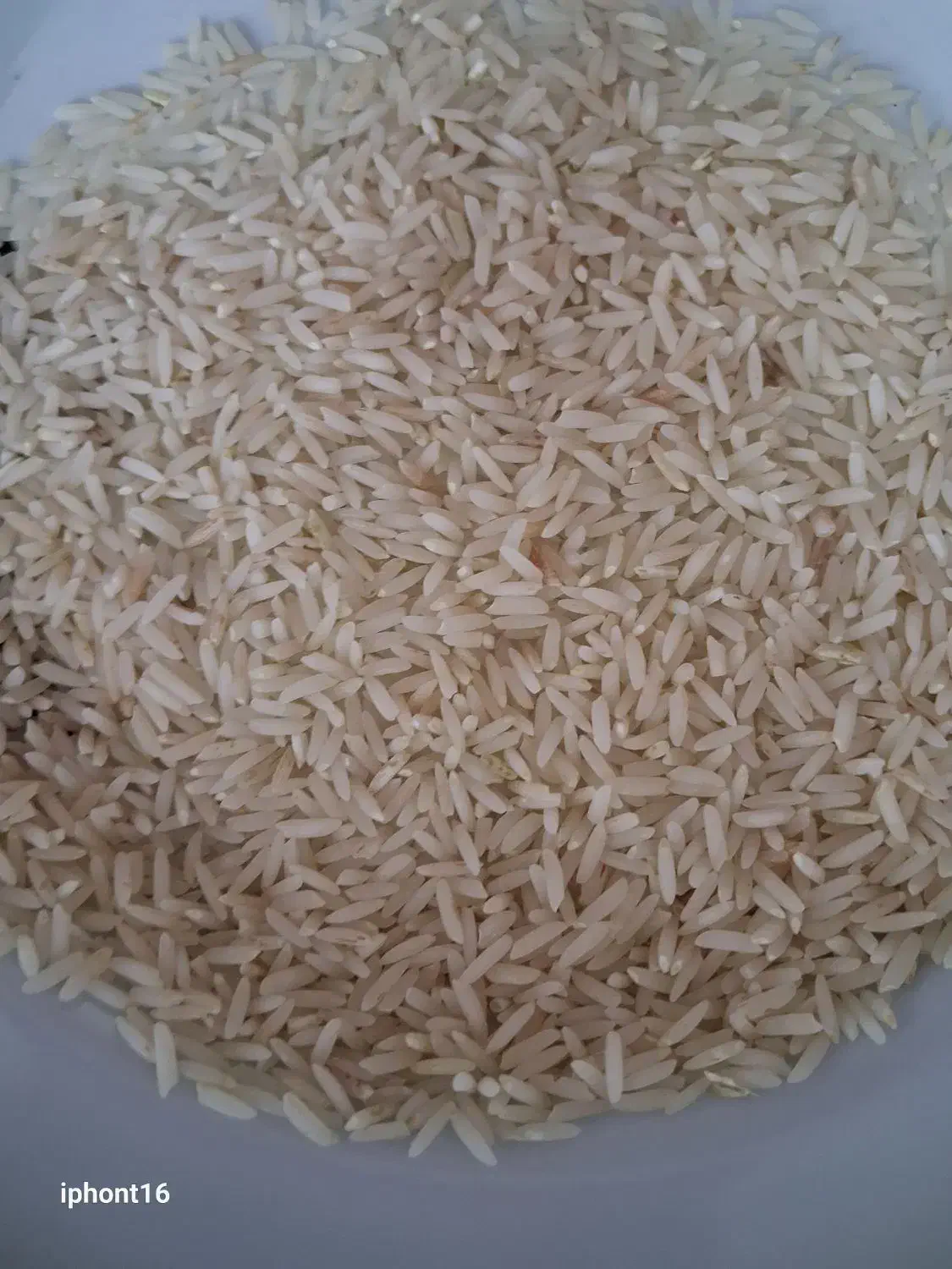 برنج دم سیاه عالی|خوردنی و آشامیدنی|آزادشهر, |دیوار