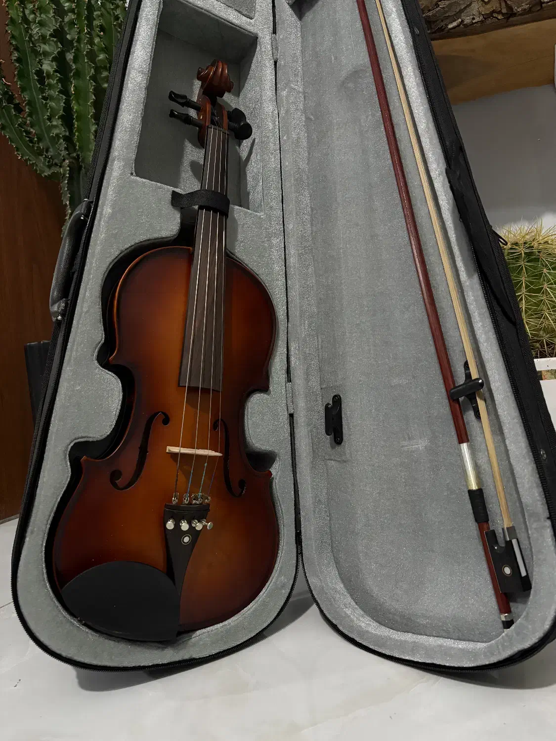 ویولن پیرلی|ویولن|کرمانشاه, |دیوار