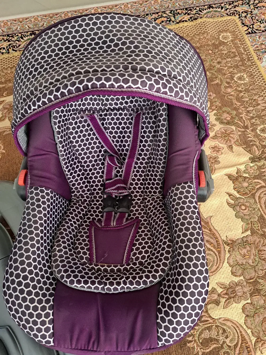 ست کالسکه دلیجان|کالسکه و لوازم جانبی|خمینیشهر, |دیوار