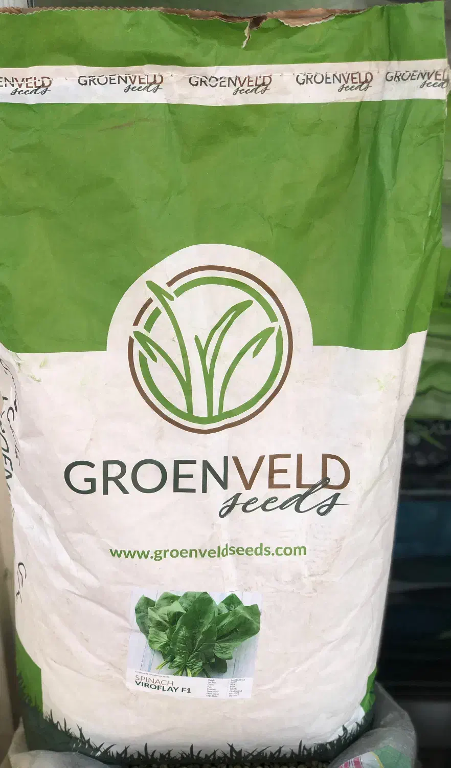 بذر اسفناج هیبریدF1 رویال|عمده‌فروشی|گرگان, |دیوار