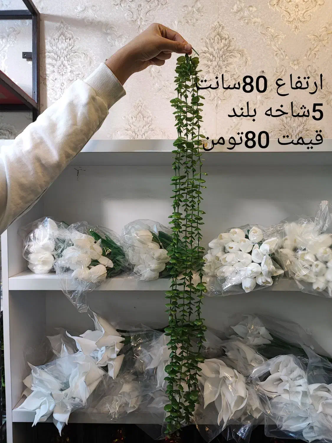 اویز شمشاد|گل مصنوعی|قم, نیروگاه|دیوار