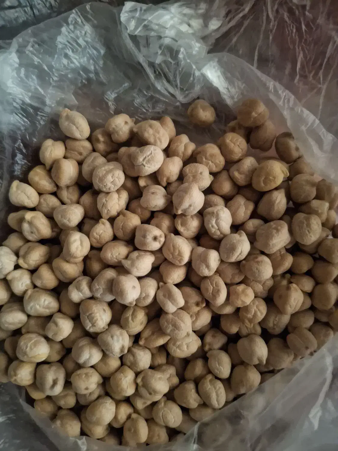 نخود|عمده‌فروشی|کوهین, |دیوار