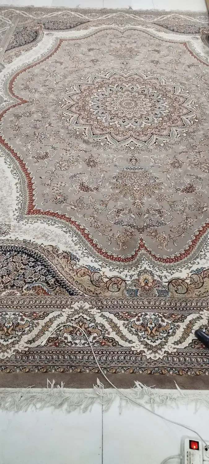 فرش|فرش|مشهد, سرافرازان|دیوار