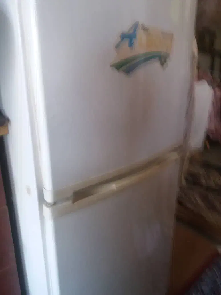 یخچال البرز|یخچال و فریزر|اردبیل, |دیوار