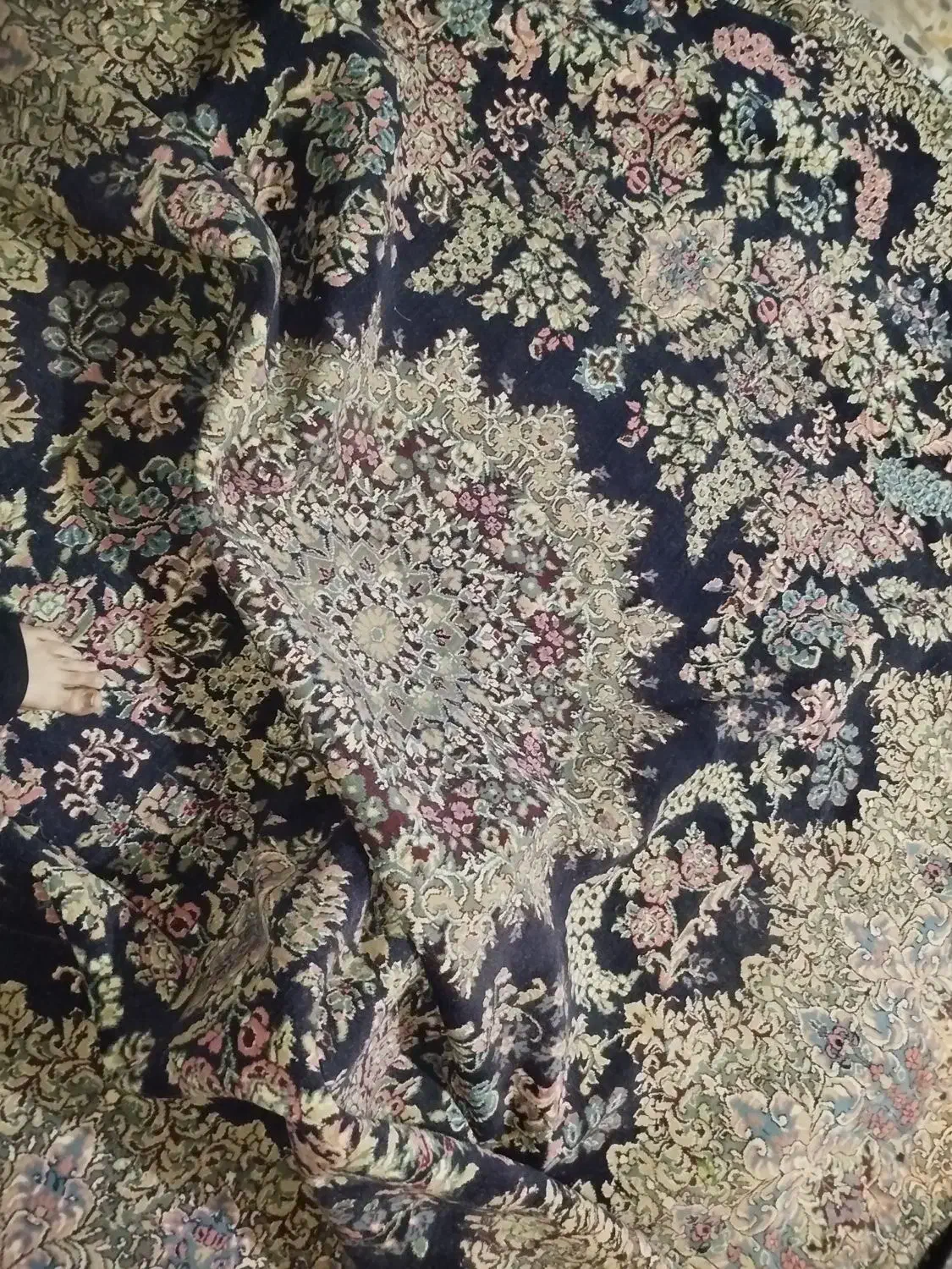 قالی 12.منری|فرش|بم, |دیوار