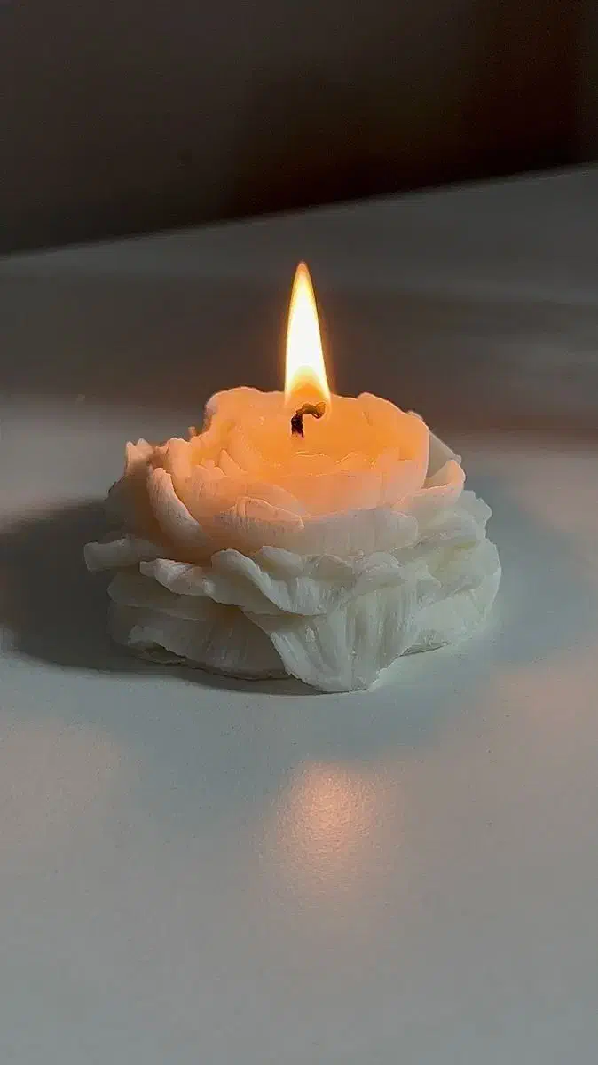 شمع دستساز گل آلاله|صنایع دستی و سایر لوازم تزئینی|کامیاران, |دیوار