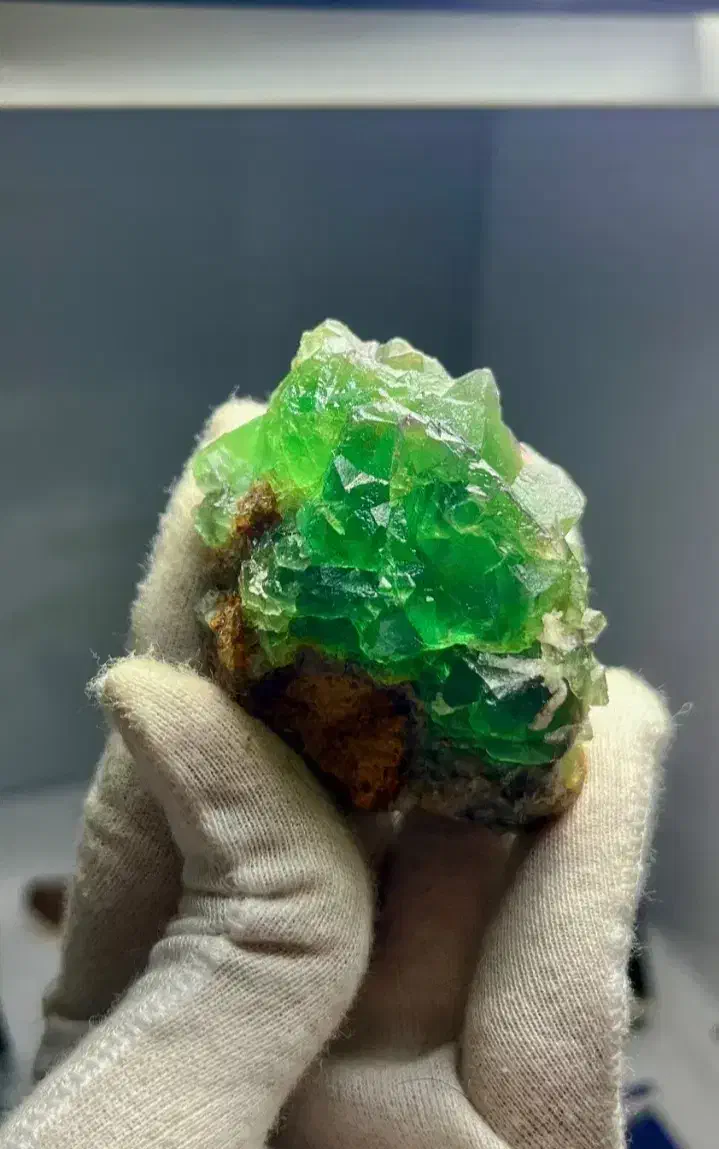 فلوریت کلیکسیونی تکرار نشدنی|کلکسیون اشیاء عتیقه|دماوند, دماوند|دیوار