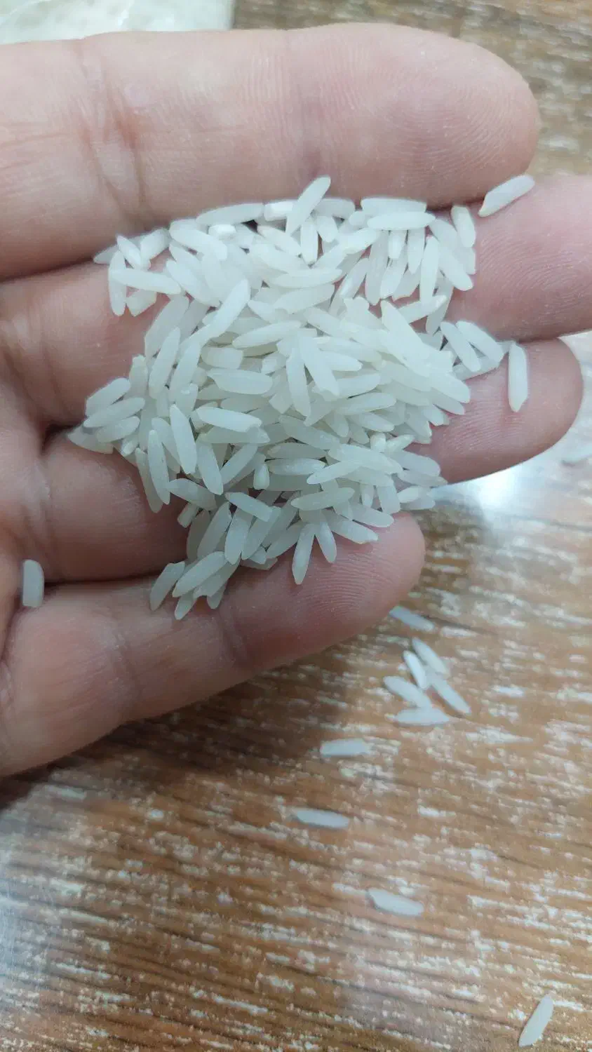 برنج طارم محلی فریدونکنار|خوردنی و آشامیدنی|زرگرشهر, |دیوار