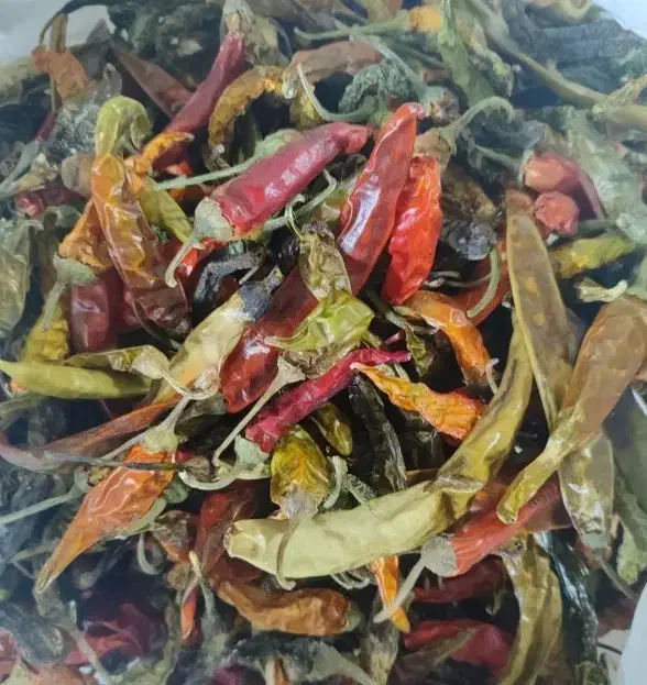 فلفل قرمز تند|خوردنی و آشامیدنی|اصفهان, جاوان|دیوار