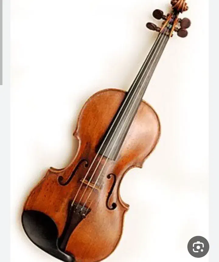 آموزش ویالن و دوره ارف کودک|خدمات آموزشی|زنجان, |دیوار