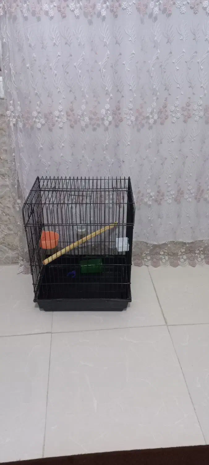 فروشی|لوازم جانبی حیوانات|سرپل ذهاب, |دیوار