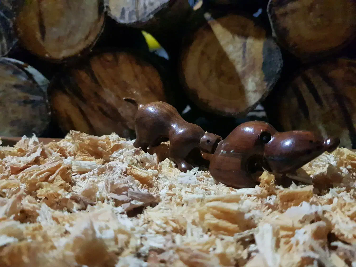 فروش کارهای چوبی دست ساز|صنایع دستی و سایر لوازم تزئینی|لاهیجان, لفمجان|دیوار