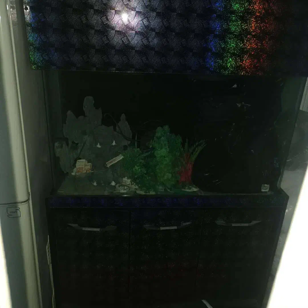 آکواریوم|ماهی|ری, جوانمرد قصاب|دیوار