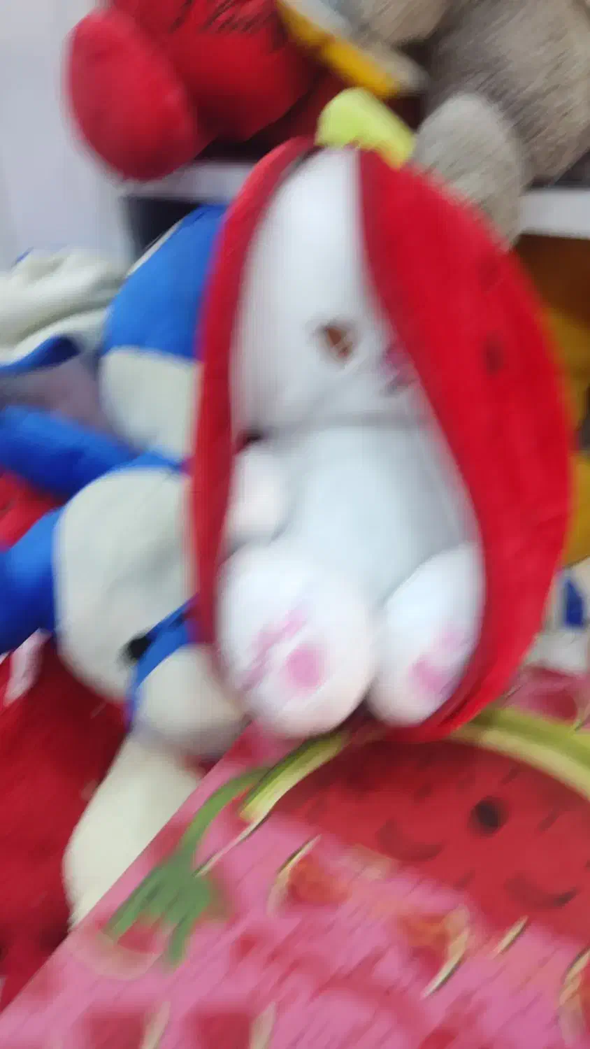 سوپرایزی|اسباببازی|اصفهان, بوستان کوهستانی صفه|دیوار