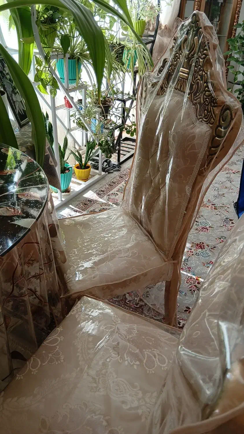 میزغذاخوری|میز و صندلی غذاخوری|برخوار, |دیوار