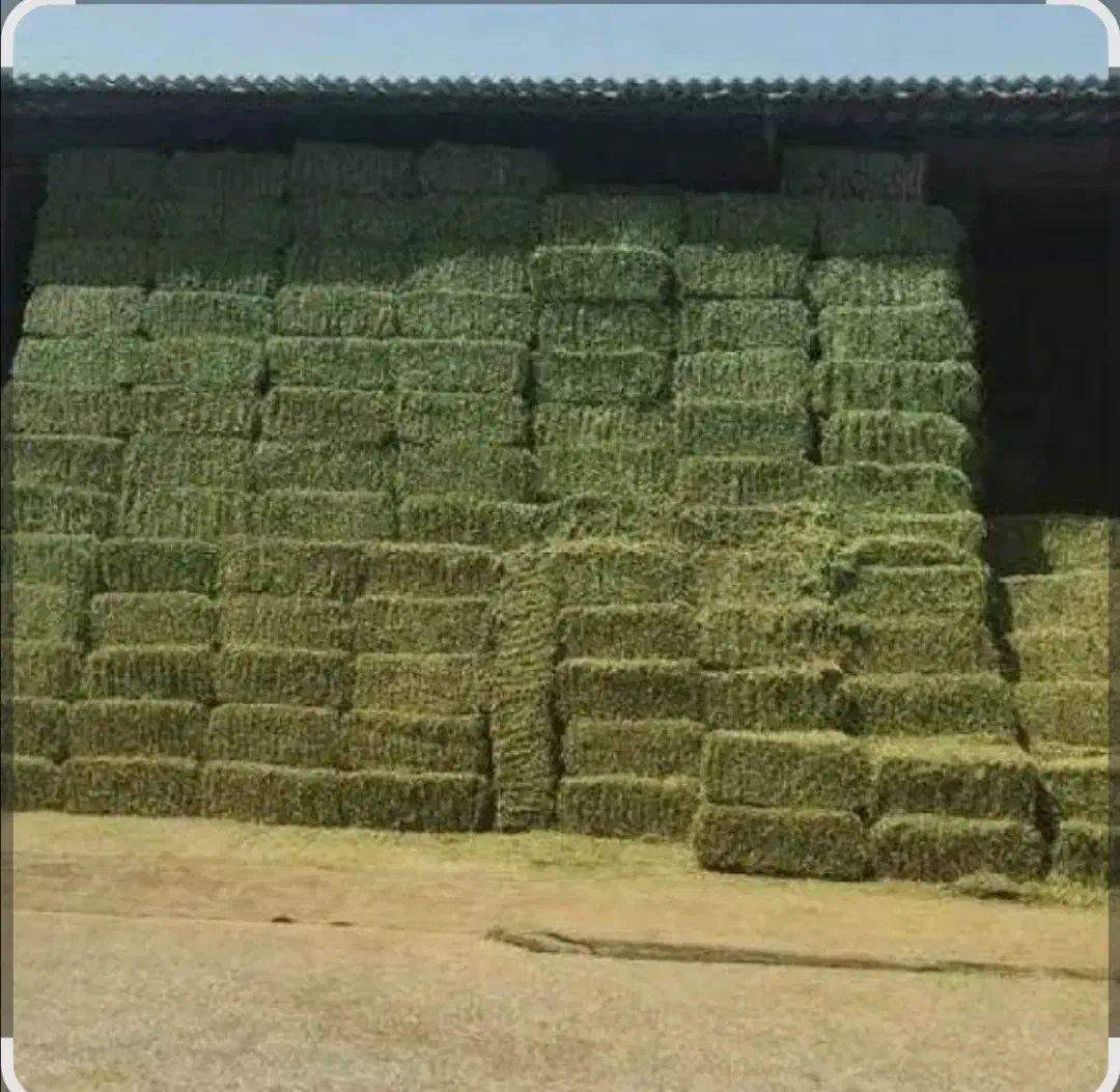 پرس یونجه چین دوم|لوازم جانبی حیوانات|ماکو, |دیوار