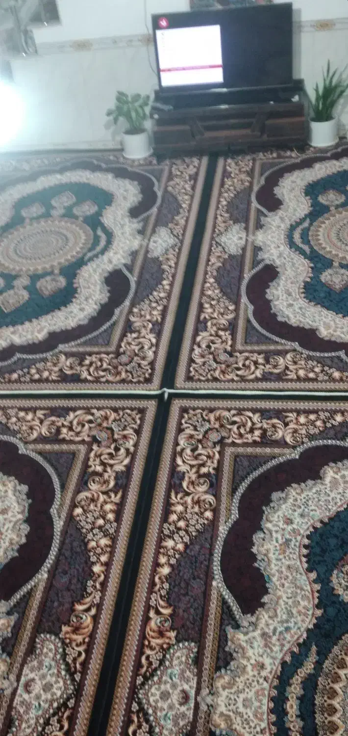 فرش ۹ متری|فرش|کرمانشاه, |دیوار