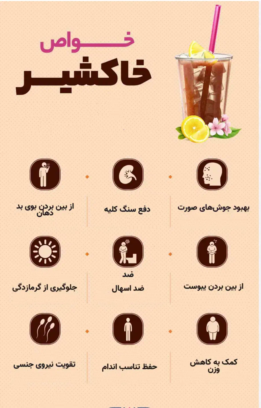خاکشیر زرین تمیز|خوردنی و آشامیدنی|مشهد, شهرک مهر آباد|دیوار