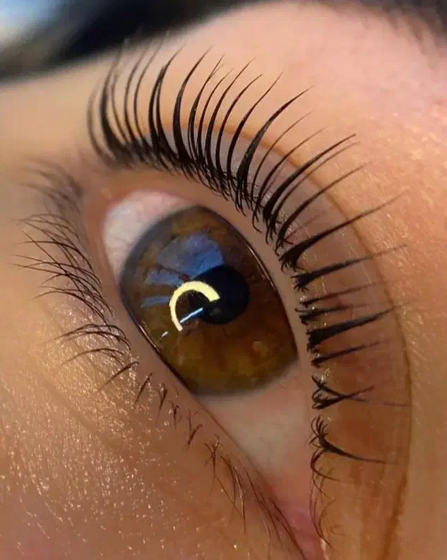 لیفت لمینت مژه و آبرو|خدمات آرایشگری و زیبایی|چناران, |دیوار