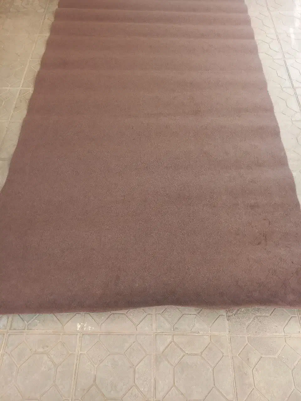 موکت دست دوم سالم|موکت|یزد, |دیوار