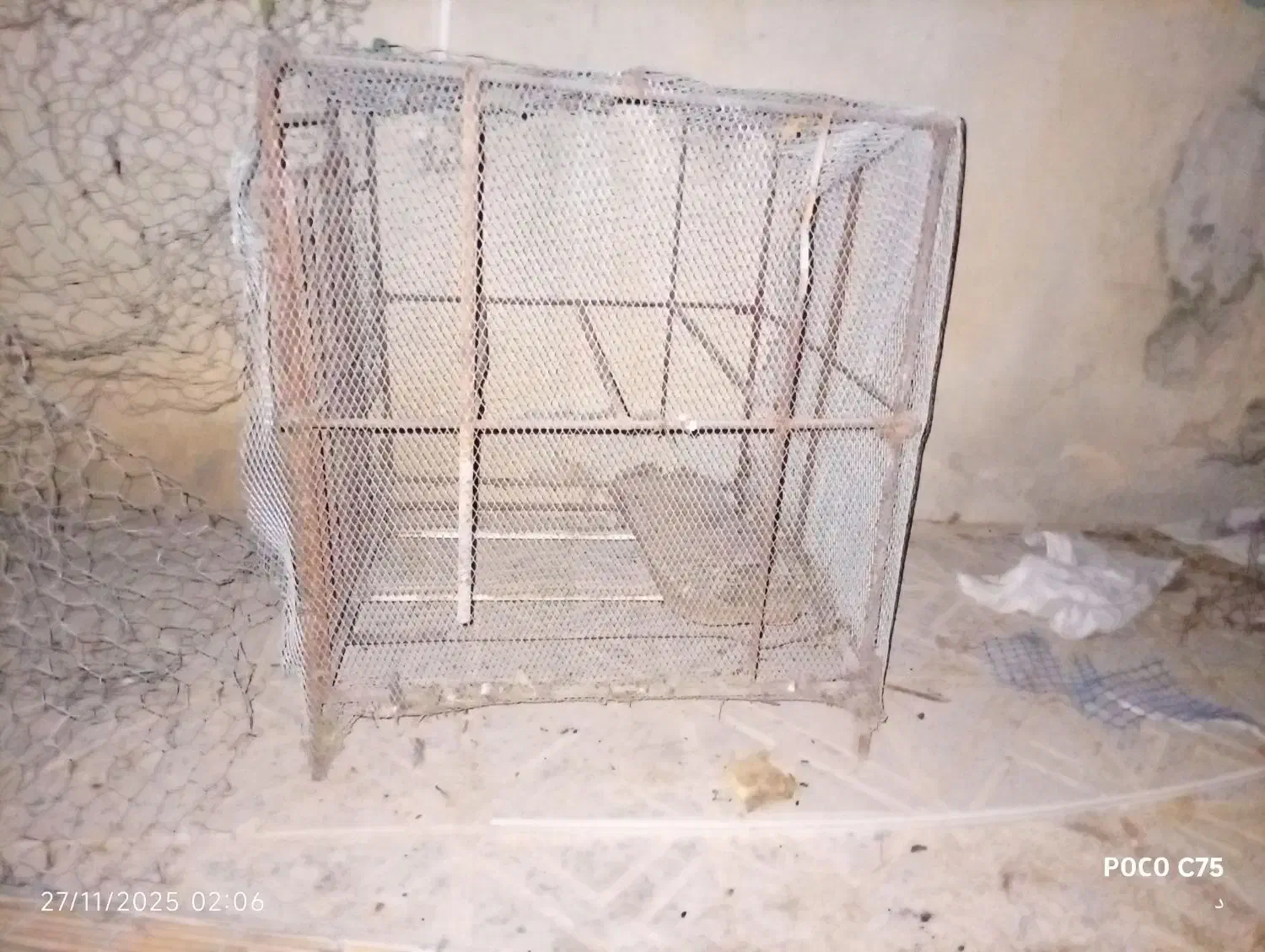 لونه مرغ|لوازم جانبی حیوانات|آبدانان, |دیوار