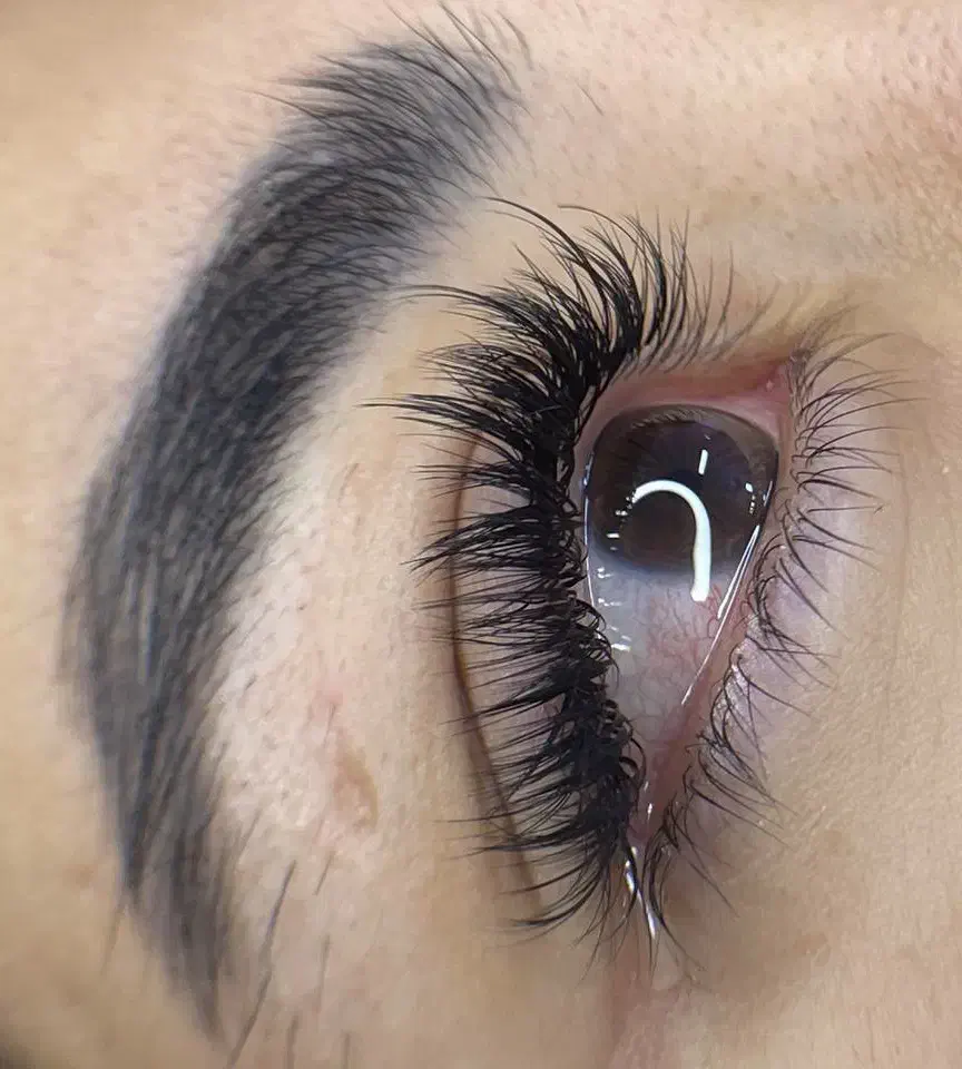 اکستنشن مژه-لیفت مژه و ابرو|خدمات آرایشگری و زیبایی|شاهین‌شهر, مخابرات (شهید بهشتی)|دیوار