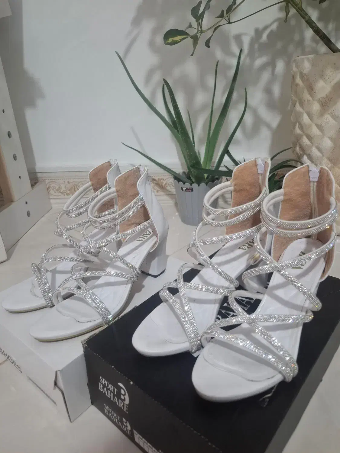 کفش مجلسی|کیف، کفش، کمربند|هشتگرد, فاز ۲ مهستان|دیوار