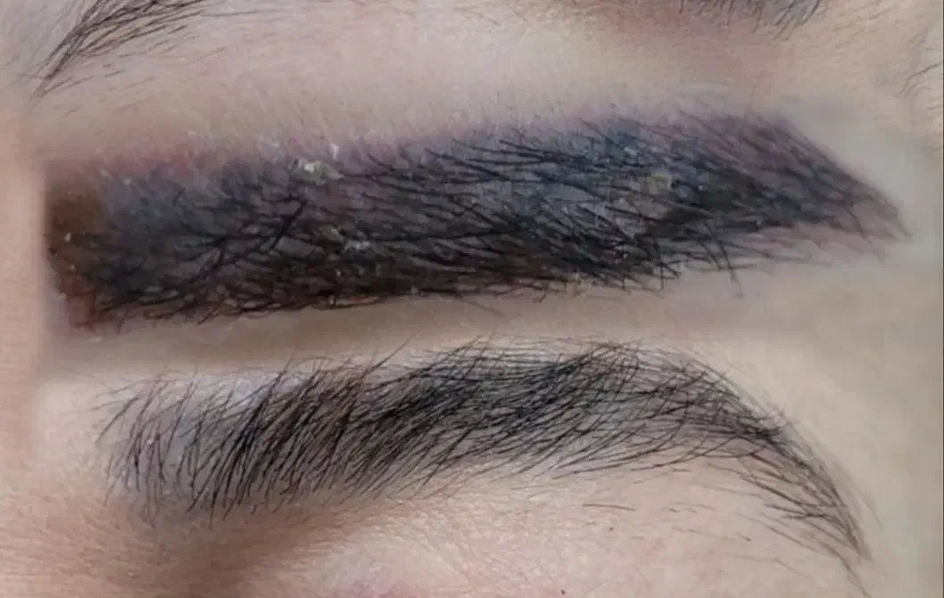 زیبایی|خدمات آرایشگری و زیبایی|مشهد, شهرک ابوذر|دیوار