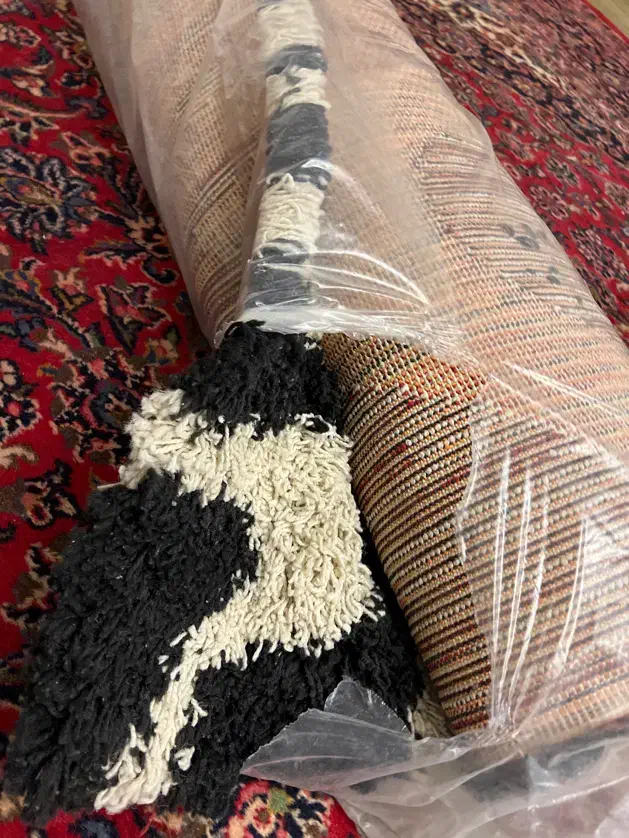 فرش فانتزی پرزبلند|فرش|تهران, سازمان برنامه جنوبی|دیوار