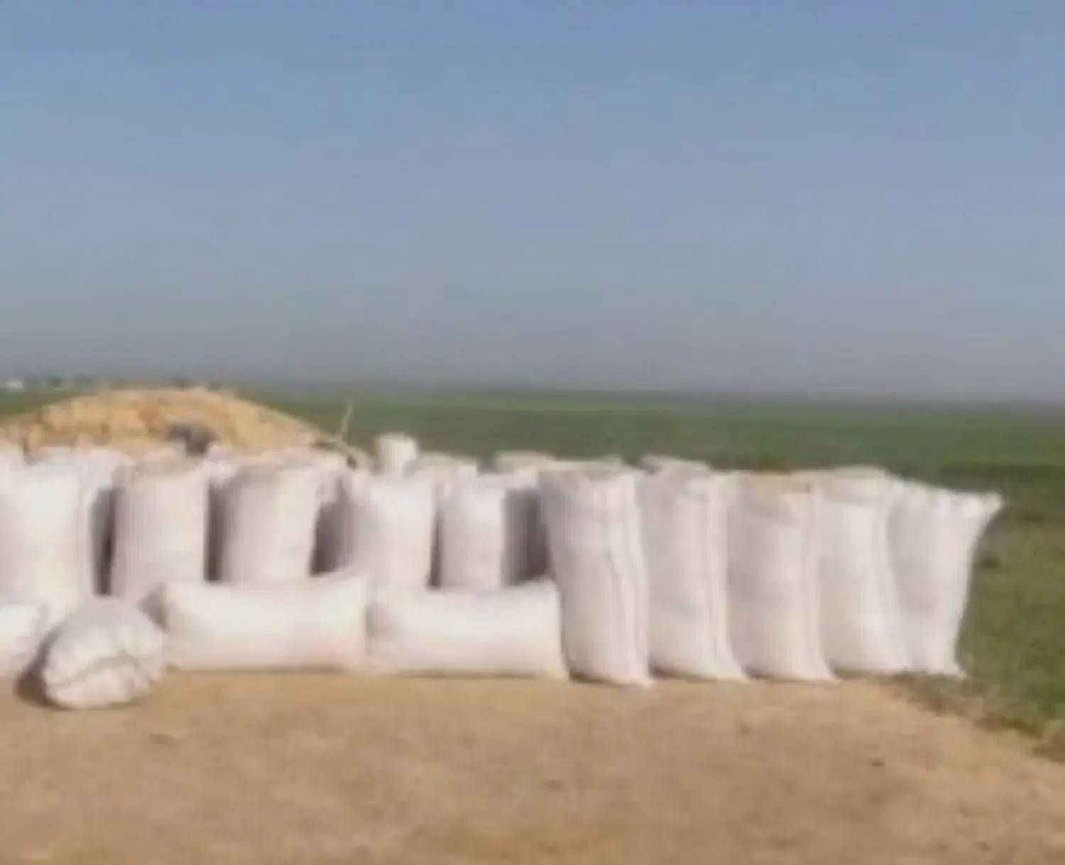 کاه|لوازم جانبی حیوانات|اهرم, |دیوار