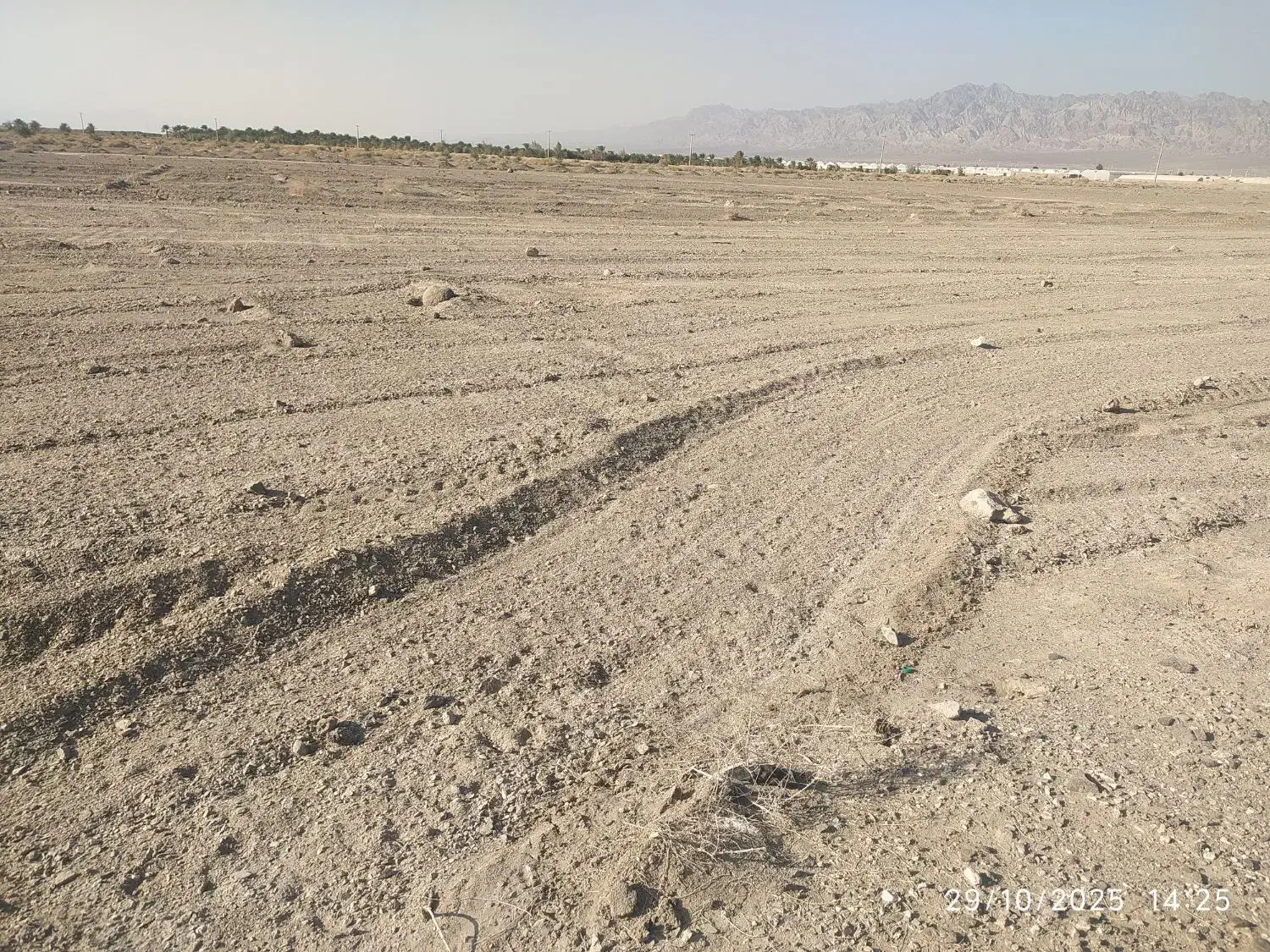 زمین|فروش زمین و ملک کلنگی|میرجاوه, |دیوار