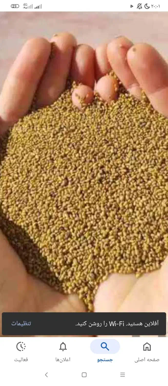 فروش تخمه یونجا|خوردنی و آشامیدنی|کشکسرای, |دیوار