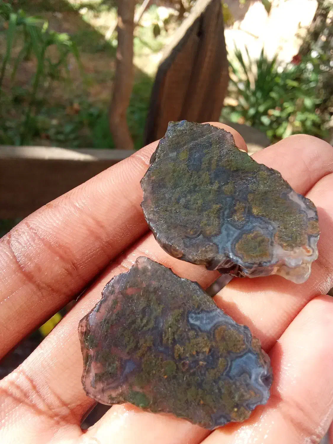 ۲ جفت شجر مشکی خاص خاص|کلکسیون اشیاء عتیقه|گتوند, |دیوار