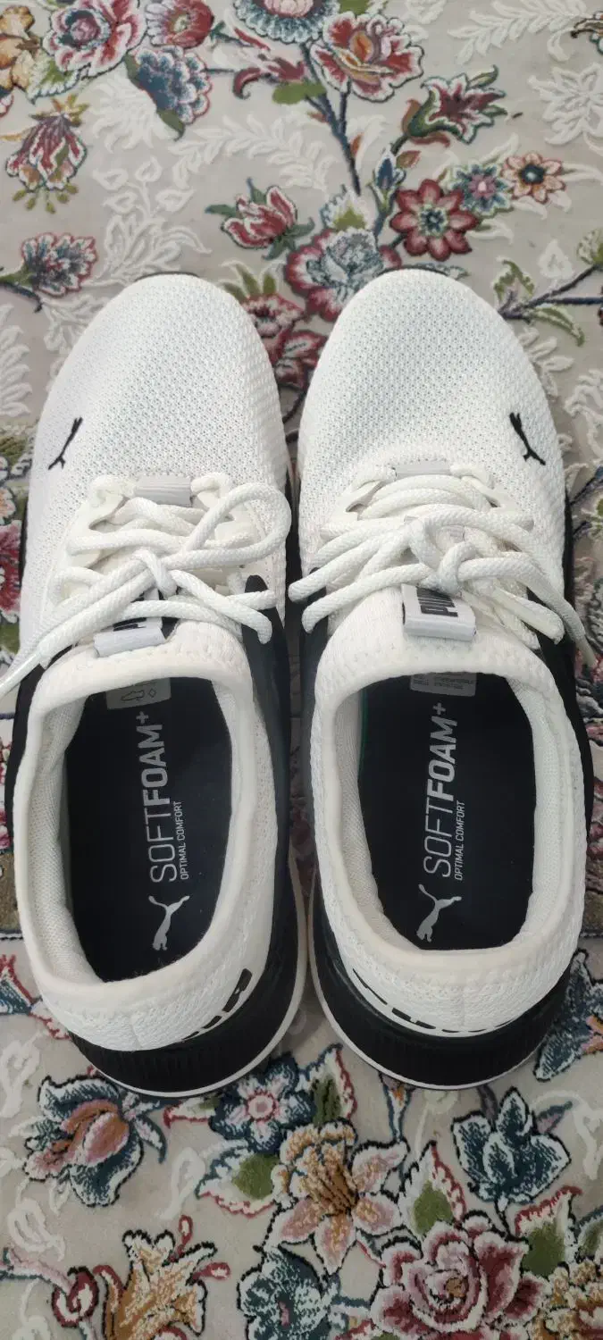 کتونی پوما اورجینال|کیف، کفش، کمربند|ماهدشت, |دیوار