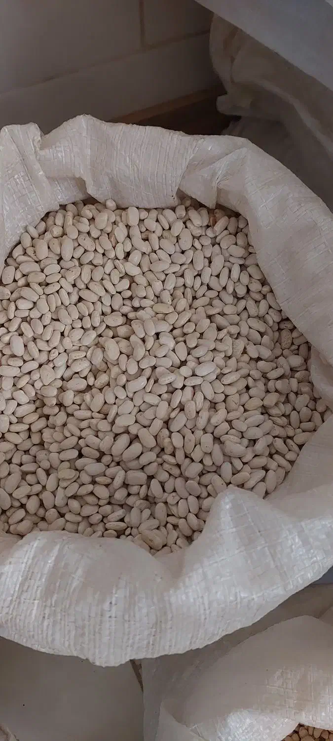 فروش لوبیا چیتی وسفید|خوردنی و آشامیدنی|تهران, دانشگاه شریف|دیوار