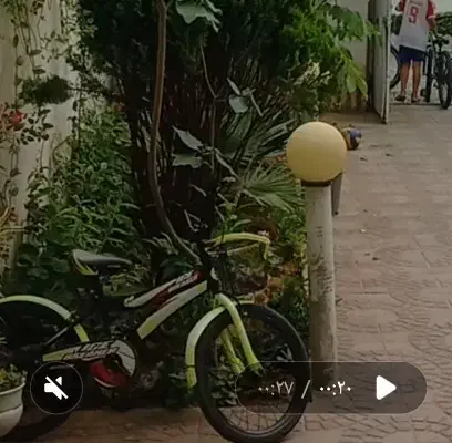 دوچرخه  ۲۰ سالم در حد نو|دوچرخه، اسکیت، اسکوتر|سرخرود, |دیوار