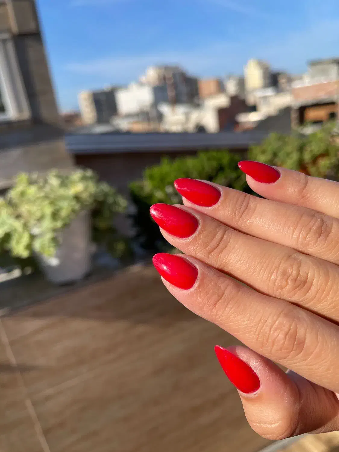 کاشت ناخن ساری|خدمات آرایشگری و زیبایی|ساری, |دیوار