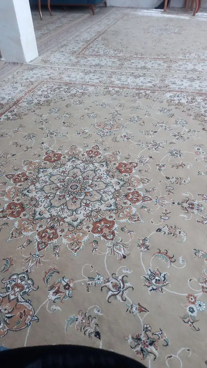 فرش زمرد مشهد|فرش|کاشمر, |دیوار