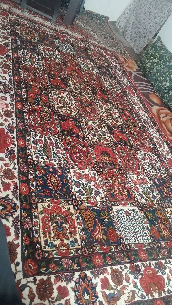 قالی دستبافت|فرش|شهرکرد, |دیوار