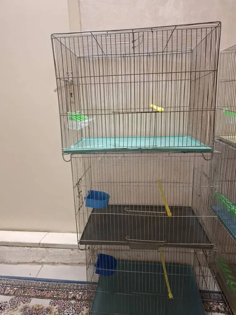 قفس پرنده|لوازم جانبی حیوانات|تهران, قصر فیروزه ۱|دیوار