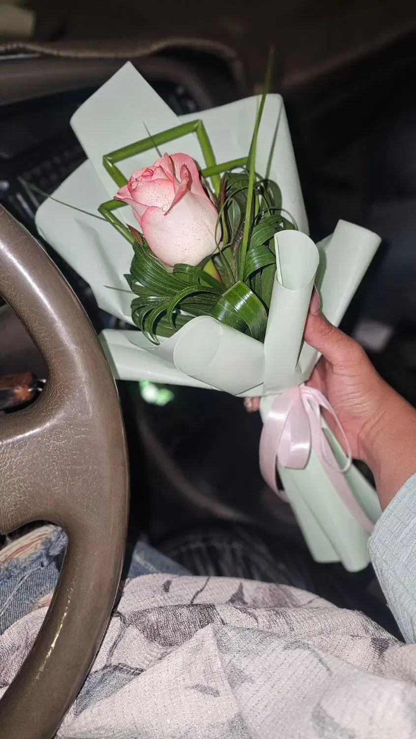 همخونه میشم|اجارهٔ آپارتمان|کیش, |دیوار