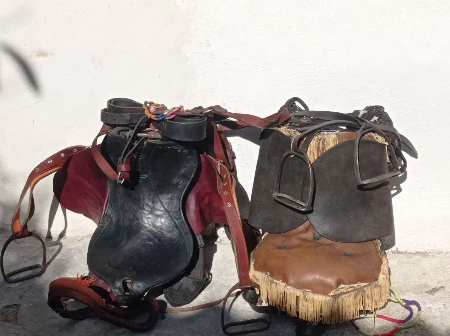 زین برنو|اسب و تجهیزات اسب‌سواری|دورود, |دیوار