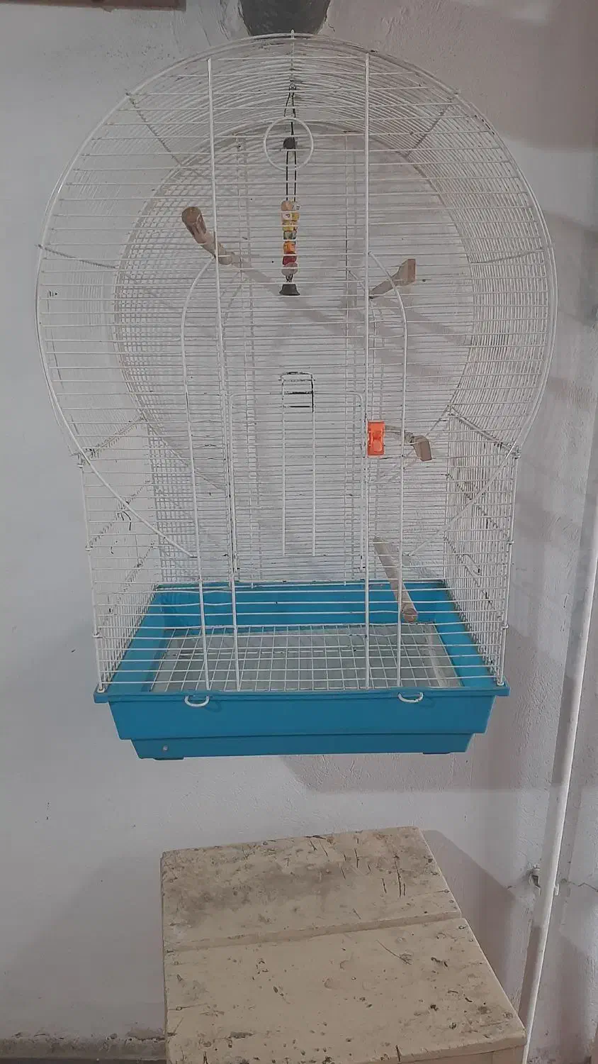 قفس طوطی عروس|لوازم جانبی حیوانات|رشت, اسماعیل آباد|دیوار
