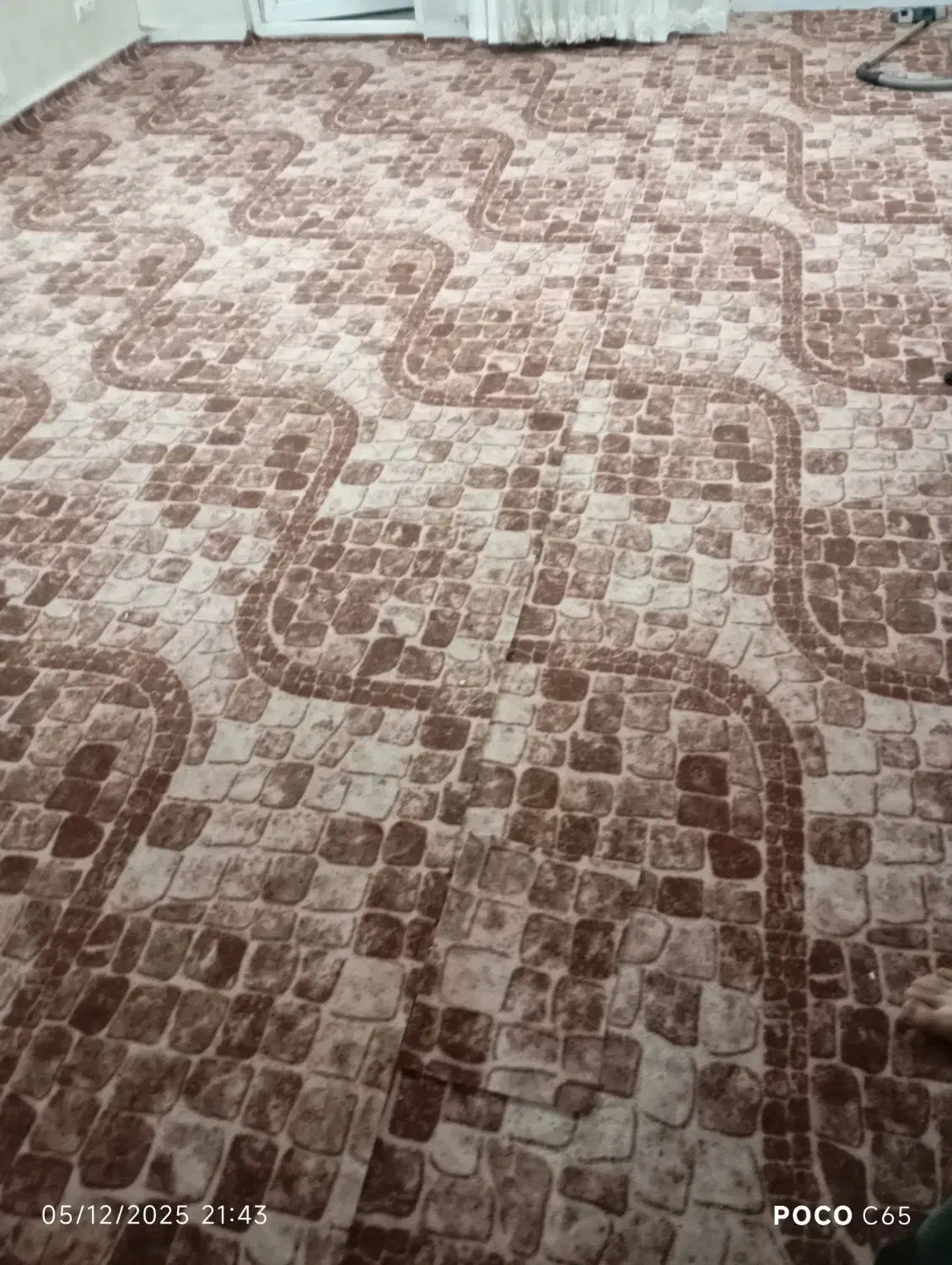 فرش و موکت|فرش|زنجان, |دیوار